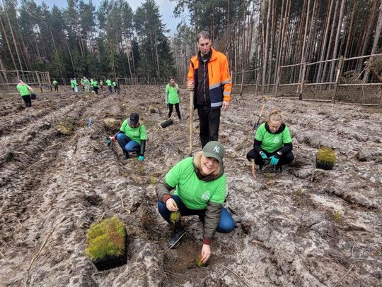 W ramach programu „Lasy Pełne Energii” PGE posadziła 110 tysięcy drzew