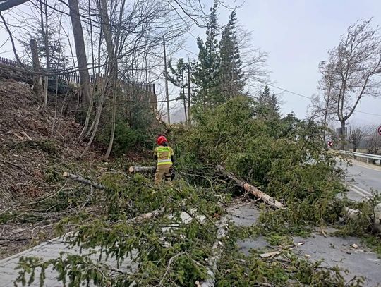 Na zdjęciu strażacy usuwający drzewa z ulicy Cyrhla w Zakopanem