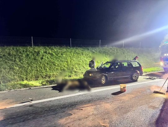 Autostrada A4, na sygnale, wypadek drogowy, Jadowniki, powiat brzeski, droga krajowa, zderzenie z dziką zwierzyną, dzik, jeleń