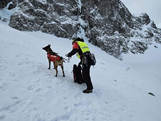 Na zdjęciu pies lawinowy z ratownikiem, przeszukujący zwały śniegu pod Rysami