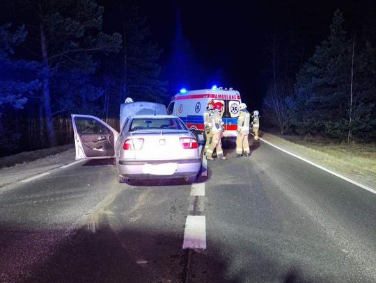 Wypadek w powiecie olkuskim. Jedna osoba została ranna (ZDJĘCIA)