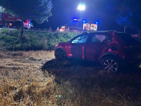 Zderzenie z dziką zwierzyną w Zadrożu. Jedna osoba poszkodowana [FOTO]