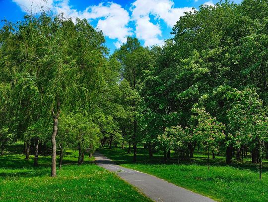 Park Lotników Polskich w Krakowie