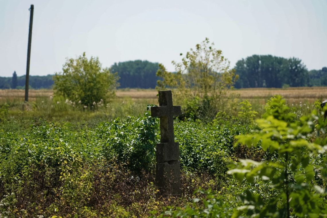 11 lipca święto państwowe, Narodowy Dzień Pamięci Ofiar Ludobójstwa, Rzeź Wołyńska opis, Rzeź Wołyńska data, Narodowy Dzień Pamięci Męczeństwa Kresowian