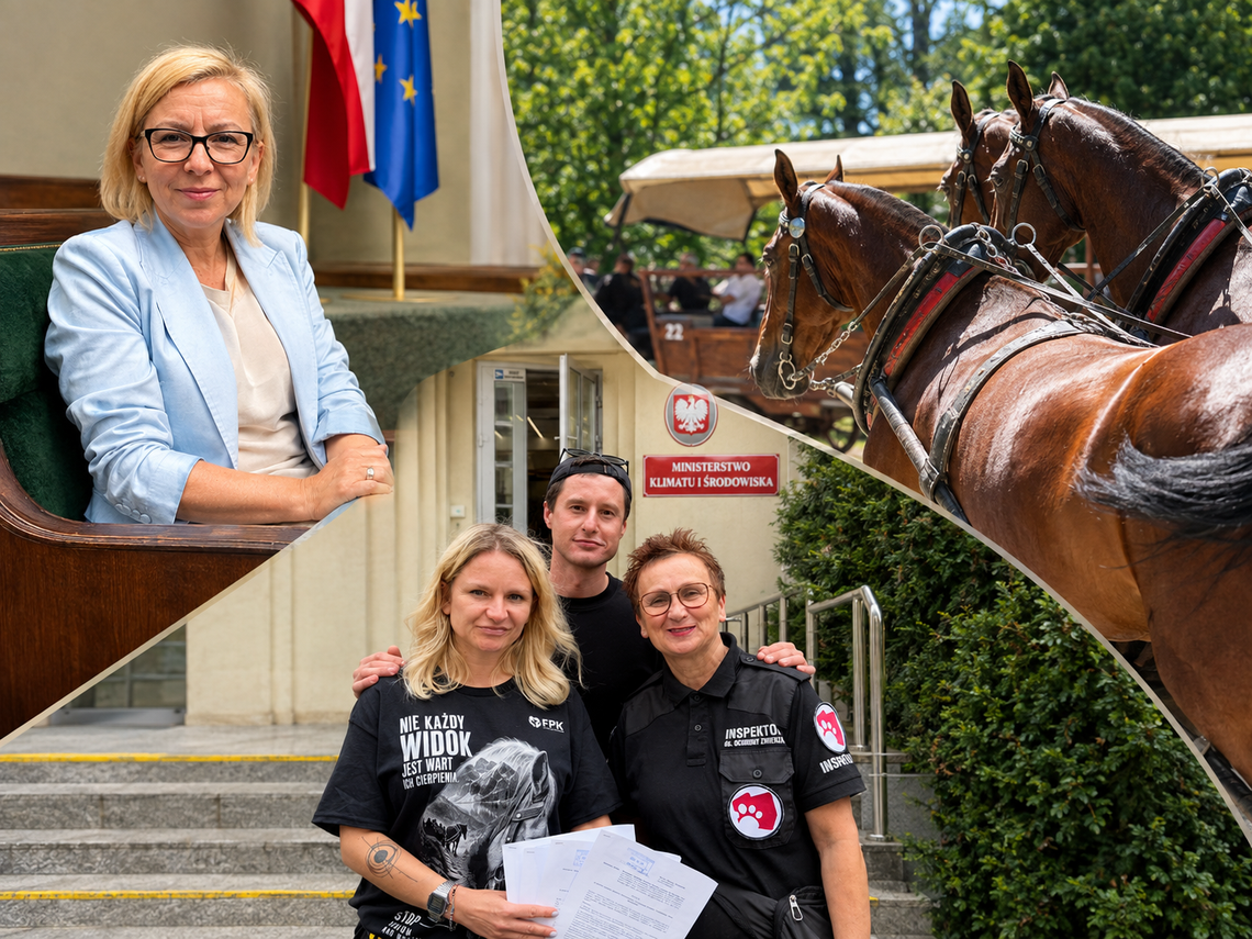 Awantura o konie w Tatrach. Minister Paulina Hennig-Kloska uspokoiła Górali Awantura o konie w Tatrach. Minister Paulina Hennig-Kloska uspokoiła Górali