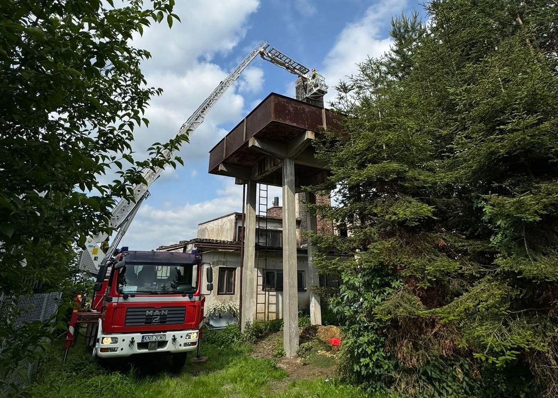 Podhale, Rokiciny Podhalańskie, bocian wypadł z gniazda, akcja ratunkowa w Rokicinach Podhalańskich, wypadek