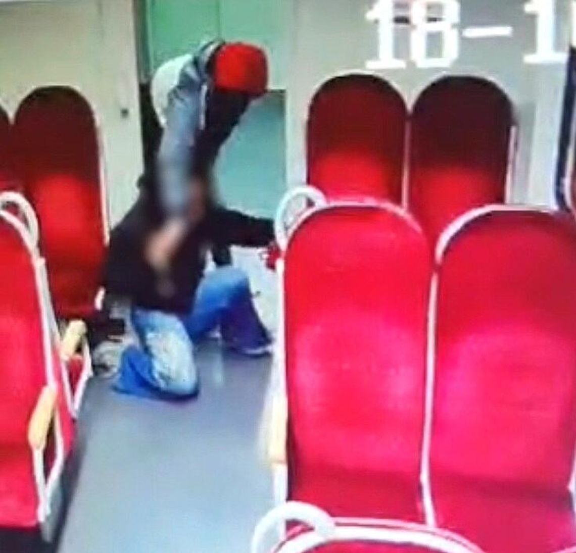 Chabówka, Nowy Targ, Podhale, brutalny atak na Podhalu, atak w pociągu na Podhalu, 17-latka zaatakowana w pociągu, Ukrainka