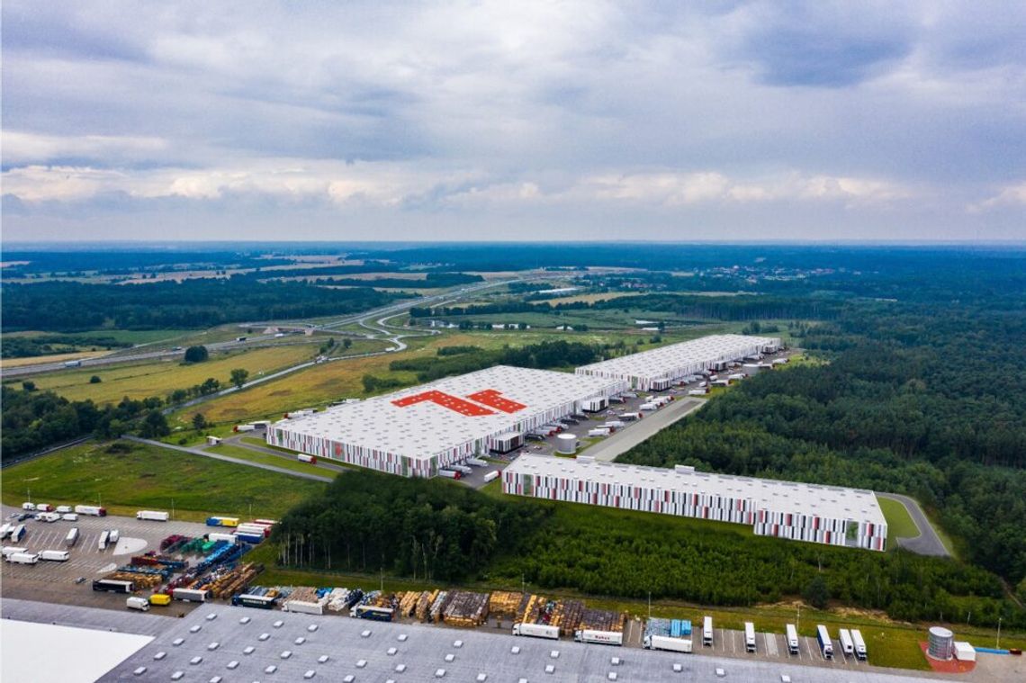 Czarny łabędź dla logistyki: Dyrektywa CSRD. Które hale przetrwają zieloną weryfikację? Czarny łabędź dla logistyki: Dyrektywa CSRD. Które hale przetrwają zieloną weryfikację?