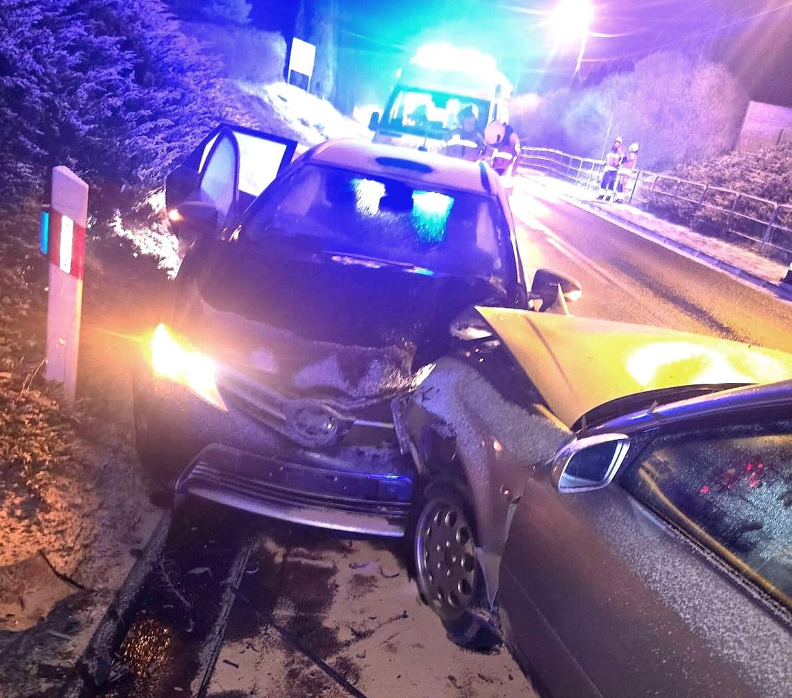 Brzozówka, powiat krakowski, Kraków, Wolbrom, powiat olkuski, czołowe zderzenie, dwie osoby ranne