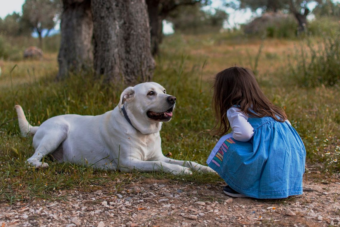 Na zdjęciu widzimy dziewczynkę oraz psa