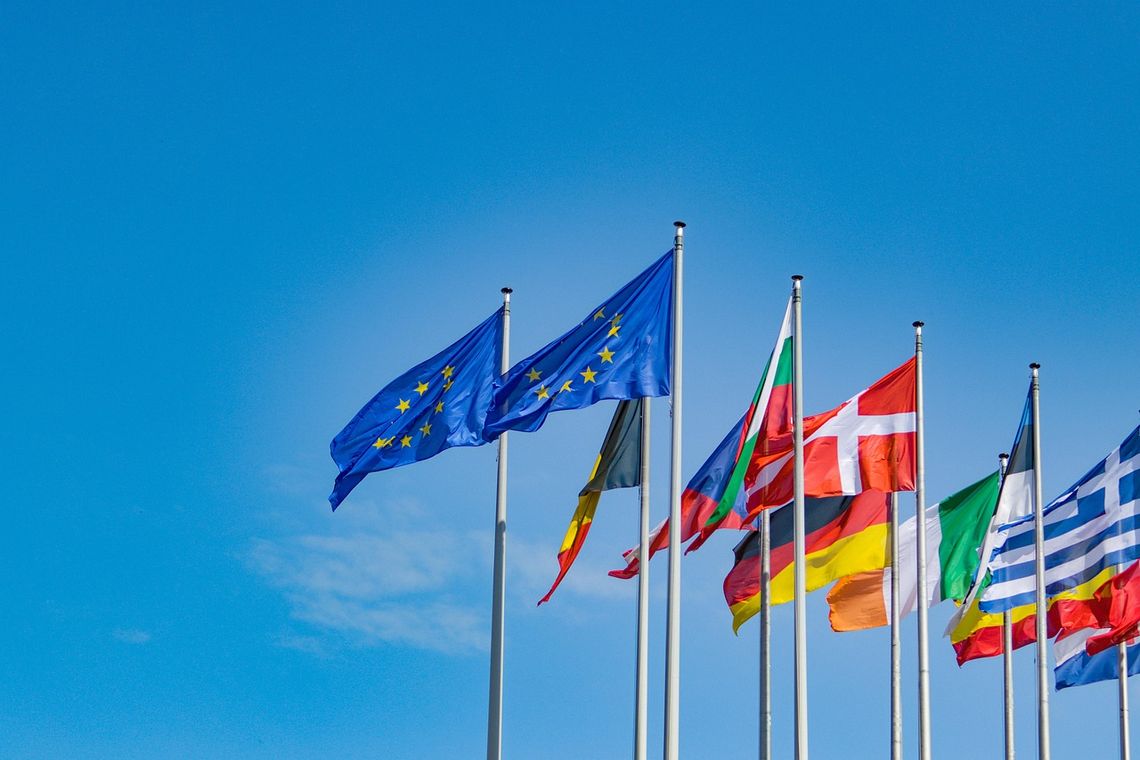 Unia Europejska, Polska, Francja, Rząd RP, umowa Mercosur, dyktat UE, rolnictwo