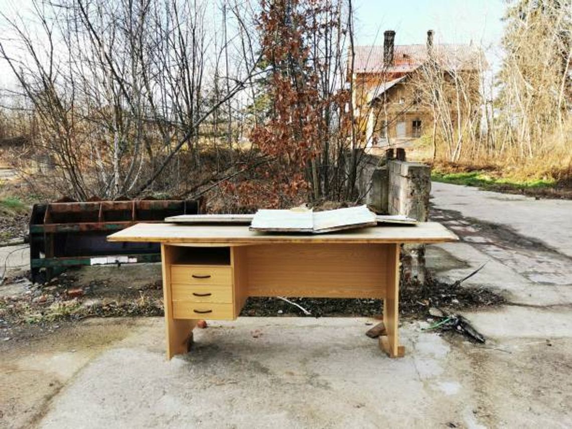 Dzień Sprzątania Biurka. Rytuał czy konieczność?