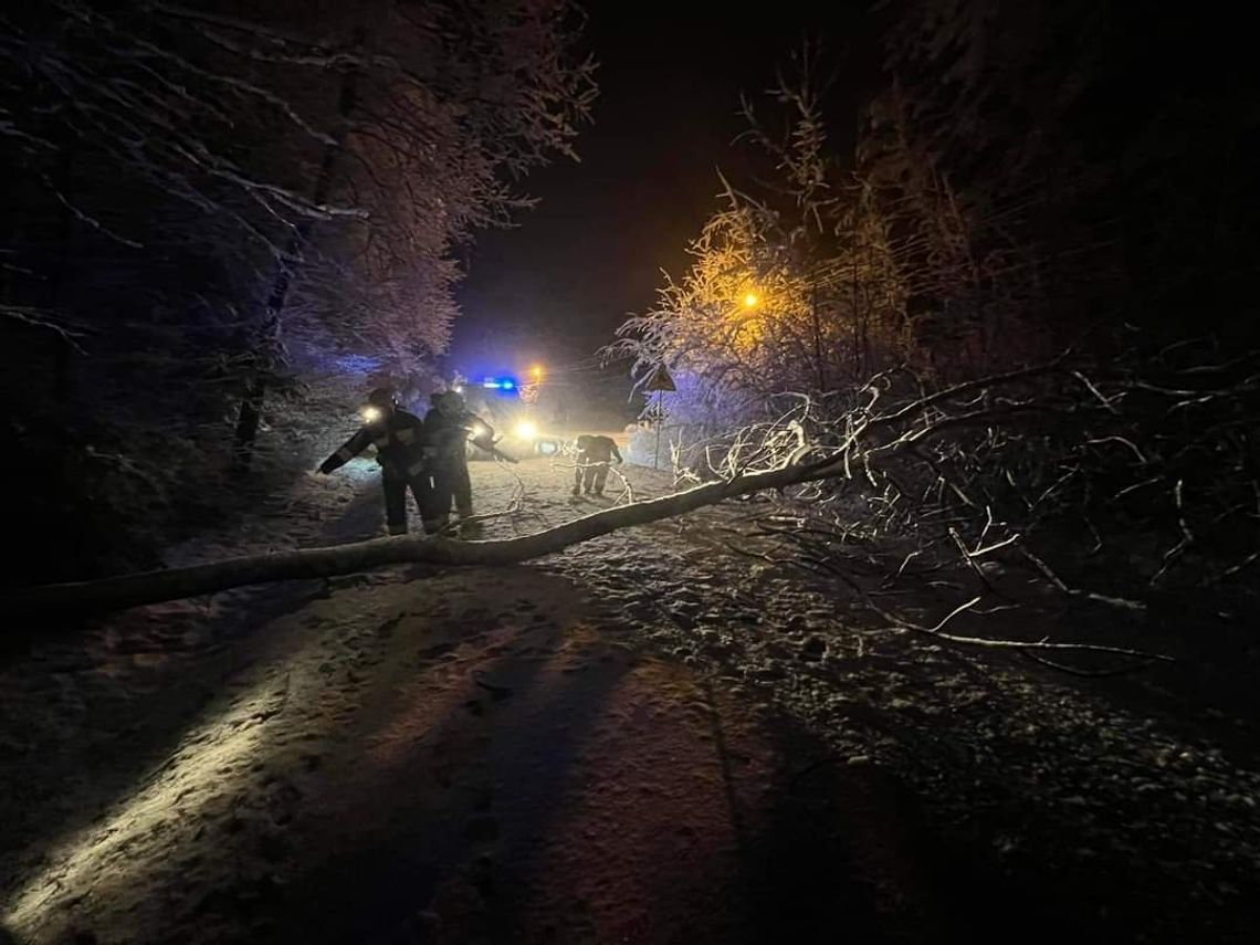 Gromnik. Powalone drzewa spowodowały utrudnienia na drogach (ZDJĘCIA)