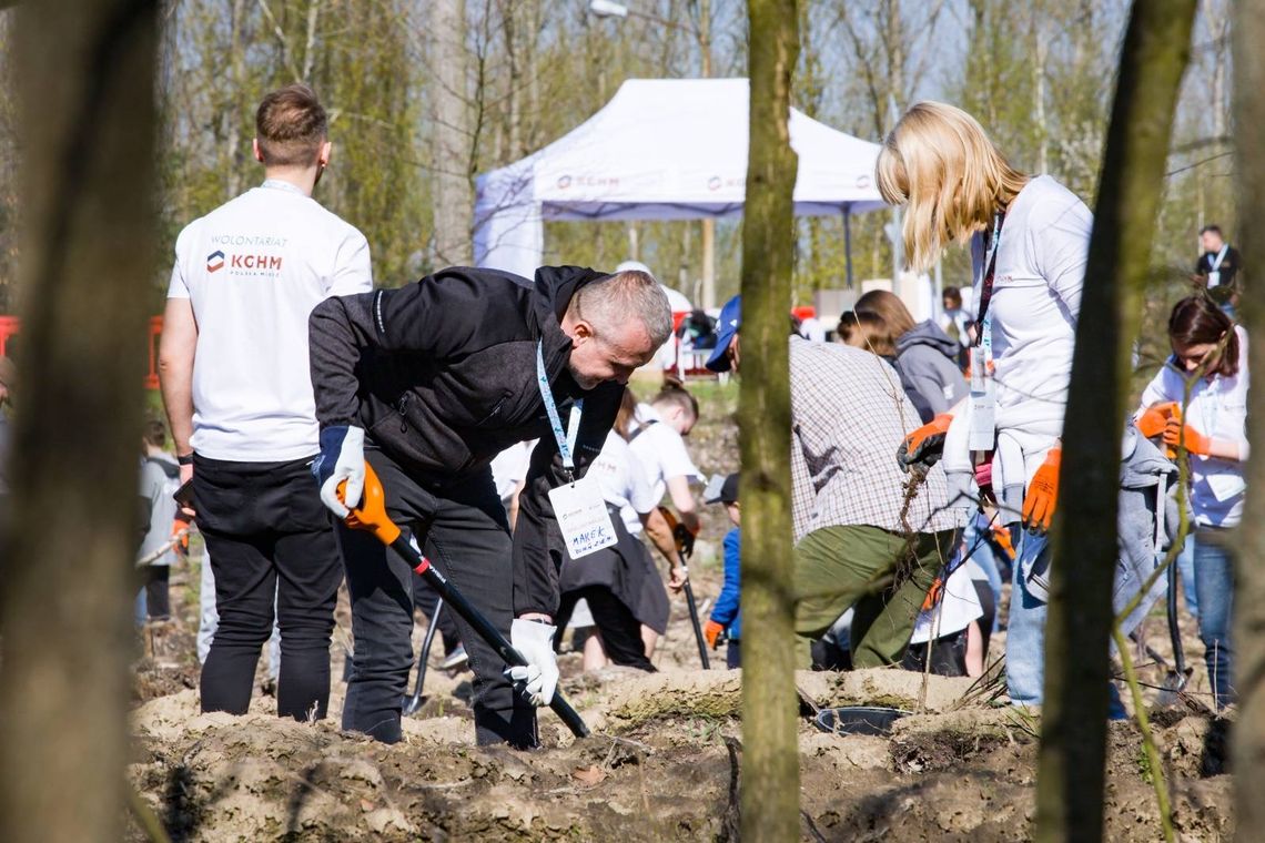 Działania KGHM na rzecz środowiska są doceniane na całym świecie