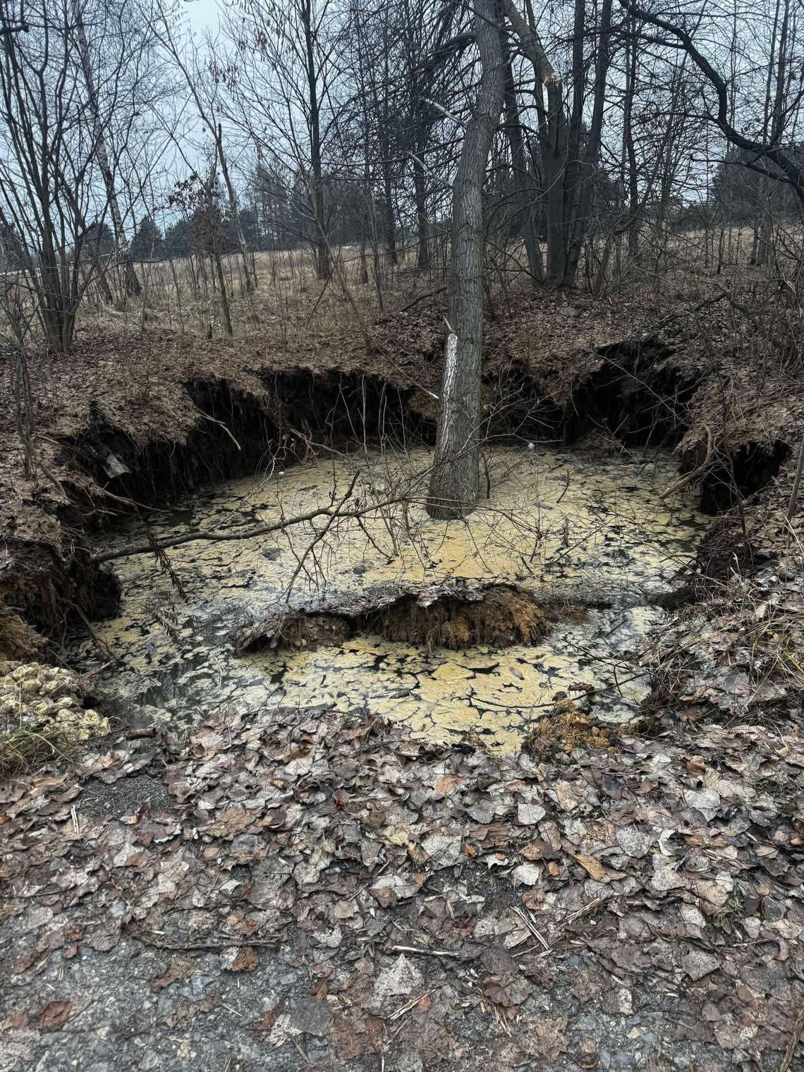 Bolesław, akcja ratunkowa, zabezpieczenie osuwiska, osuwisko, ziemia zapadła się, zapadlisko, zabezpieczenie miejsca zapadliska