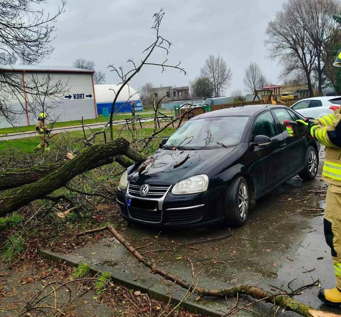 Konary drzewa runęły na samochód osobowy w Radłowie [FOTO]