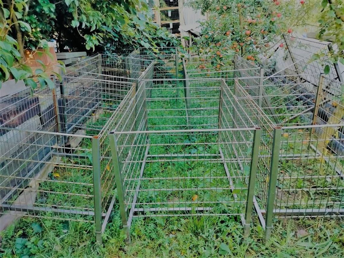 zuchwała kradzież w Limanowej, Limanowa, kradzież wózków sklepowych i półek, powiat limanowski, złodziej z powiatu limanowskiego