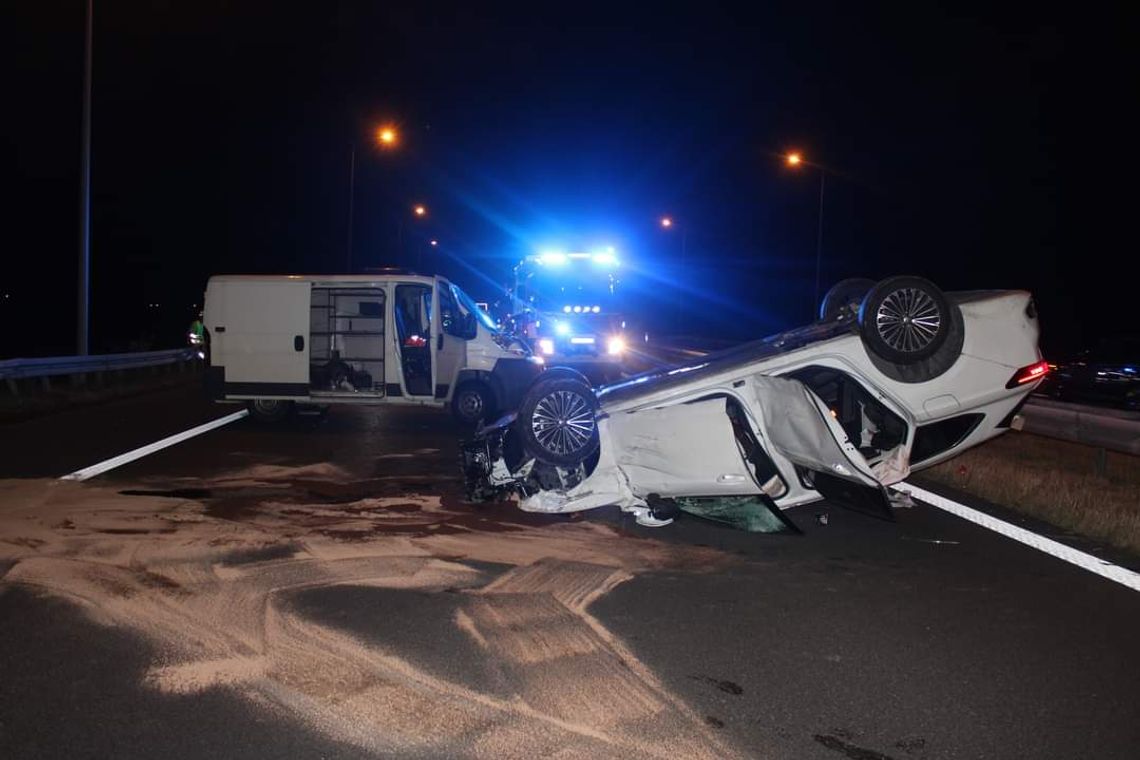 Łoś sprawcą poważnego wypadku na tarnowskim odcinku autostrady A4