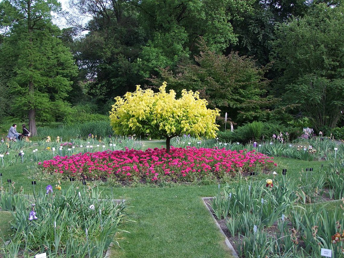 ogród botaniczny Uniwersytetu Jagiellońskiego