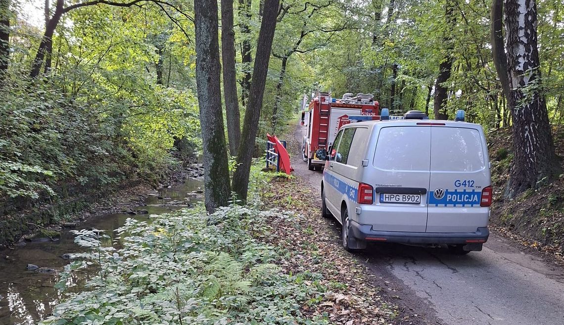 Bulowice, makabryczne odkrycie w Bulowicach, zwłoki mężczyzny w Bulowicach, zwłoki mężczyzny, gmina Kęty, powiat oświęcimski, okoliczności śmierci