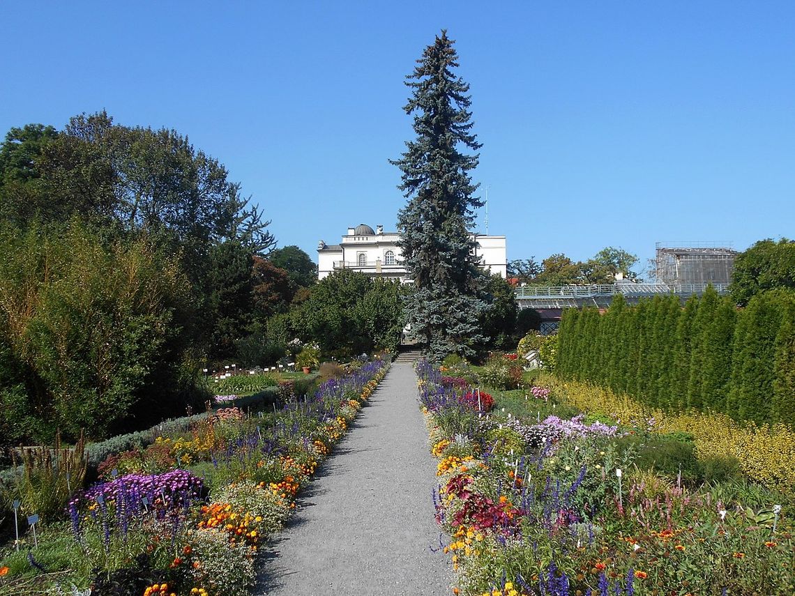 Ogród Botaniczny w Krakowie.