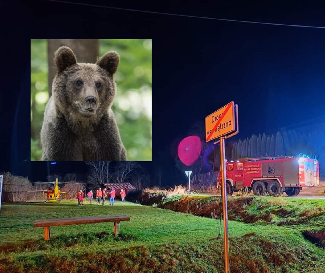 Na zdjęciu miejsce lądowania śmigłowca LPR po ataku niedźwiedzia w Bieszczadach
