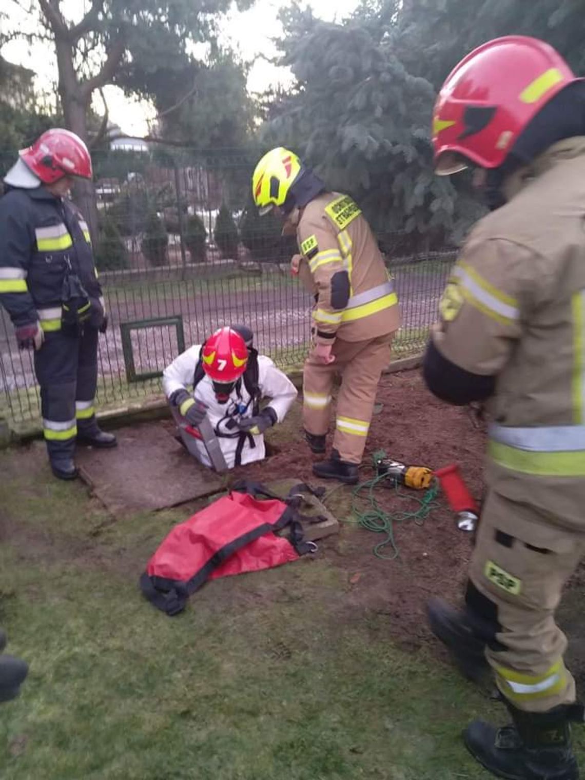 Michałowice. Pies wpadł do szamba. Ranna akcja strażaków