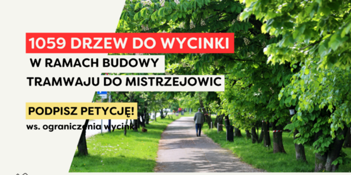 Mistrzejowice. Protest mieszkańców przeciwko drastycznej wycince drzew