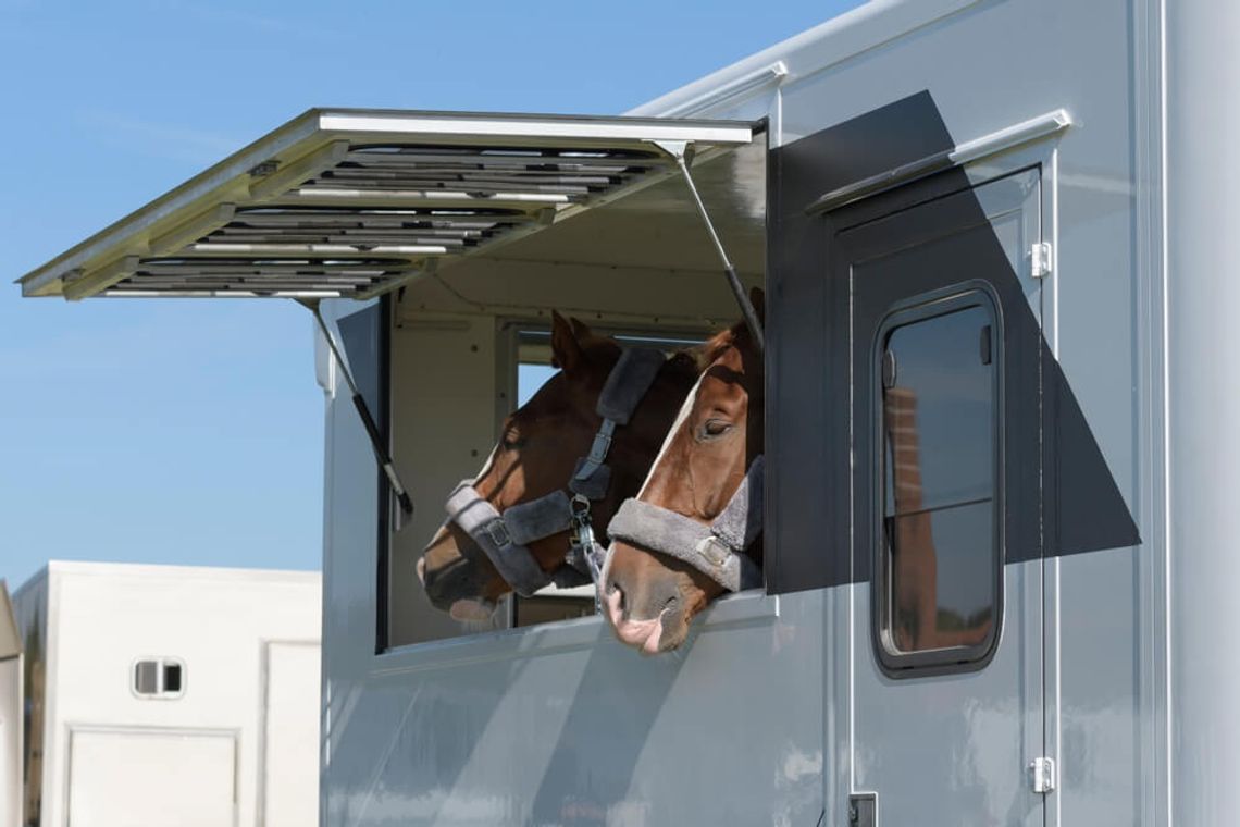 Na co zwrócić uwagę przy zakupie koniowozu? Na co zwrócić uwagę przy zakupie koniowozu?