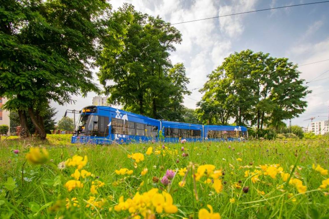 Niebieska Krew Miasta: Fascynująca Historia Krakowskich Tramwajów Niebieska Krew Miasta: Fascynująca Historia Krakowskich Tramwajów