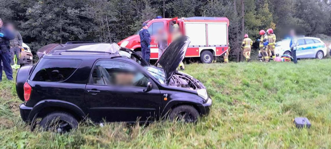 Jeleń wpadł do samochodu, nietypowy wypadek w Lubomierzu, zderzenie z jeleniem, powiat limanowski, akcja ratunkowa, poważny wypadek z udziałem dzikiej zwierzyny