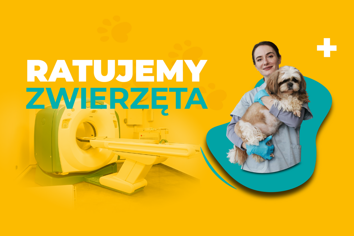 Nowy punkt na mapie Małopolski. Tomografia psów i kotów dostępna również w Nowym Sączu