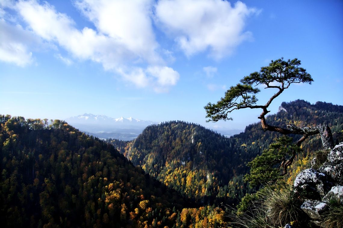 Pieniny, góry, Małopolska, województwo małopolskie, Kraków, Tarnów, szlak architektury drewnianej, wycieczki górskie, odpoczynek, jesień, jesienne atrakcje w Małopolsce