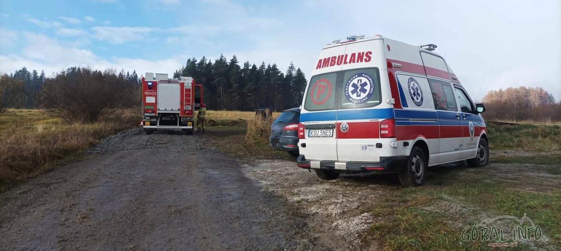 Zwłoki kobiety znajdowały się pod lasem w Lipnicy Małej