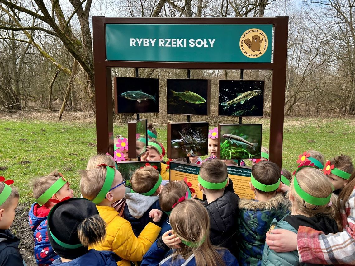 Otwarto ścieżkę edukacyjną „Łęg Kamieniec" w Oświęcimiu