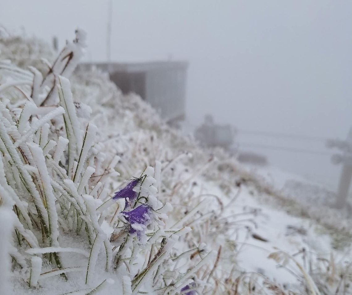 Tatry, opady śniegu, TOPR, Tatrzański Park Narodowy,TPN, pierwszy śnieg, uwaga, turystyka