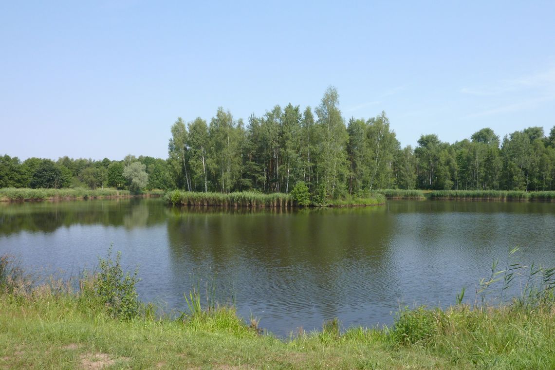 Na zdjęciu jeden ze stawów rybnych na terenie powiatu oświęcimskiego