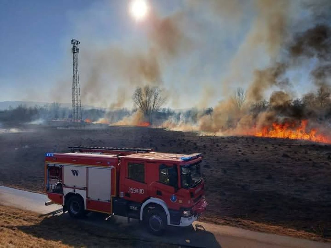 Plaga pożarów traw w Małopolsce. Pracowity czwartek strażaków [FOTO]