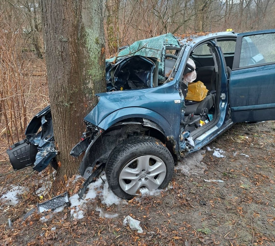 Policja podaje wstępne okoliczności tragedii na Sądecczyźnie (ZDJĘCIA)