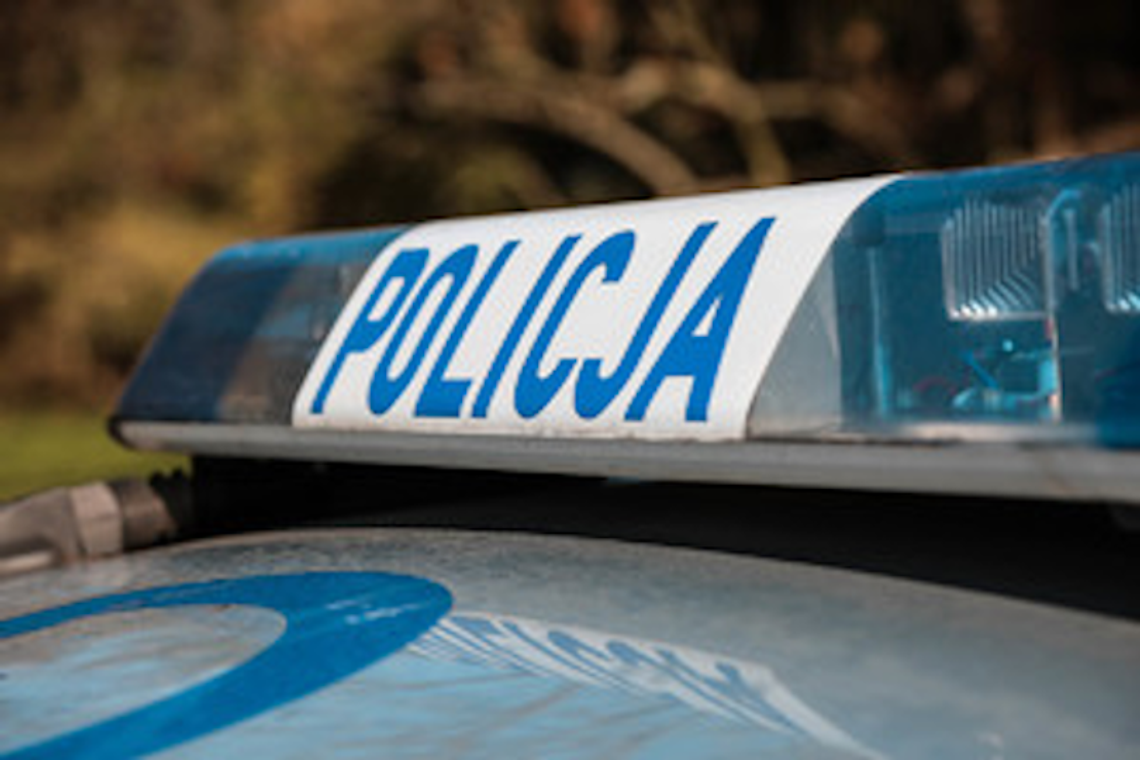 Policja szuka świadków. Spadające konary w Parku Miejskim w Rabce-Zdroju pod lupą śledczych Policja szuka świadków. Spadające konary w Parku Miejskim w Rabce-Zdroju pod lupą śledczych