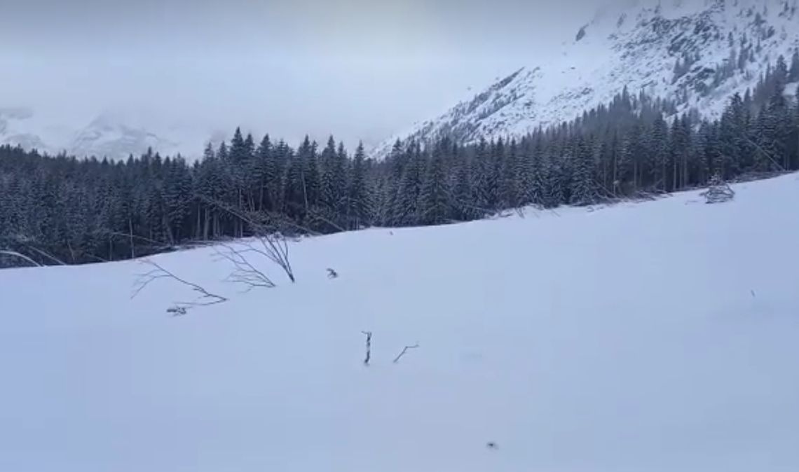 Potężna lawina zeszła w rejonie drogi nad Morskie Oko (FILM)