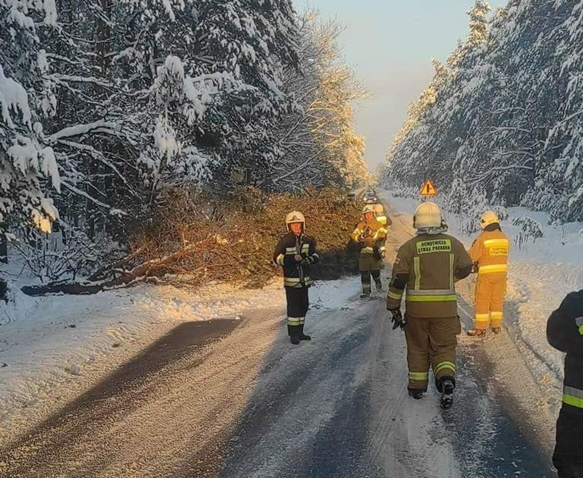 Powalone drzewo na trasie Bolesław - Klucze. Trwa akcja strażaków