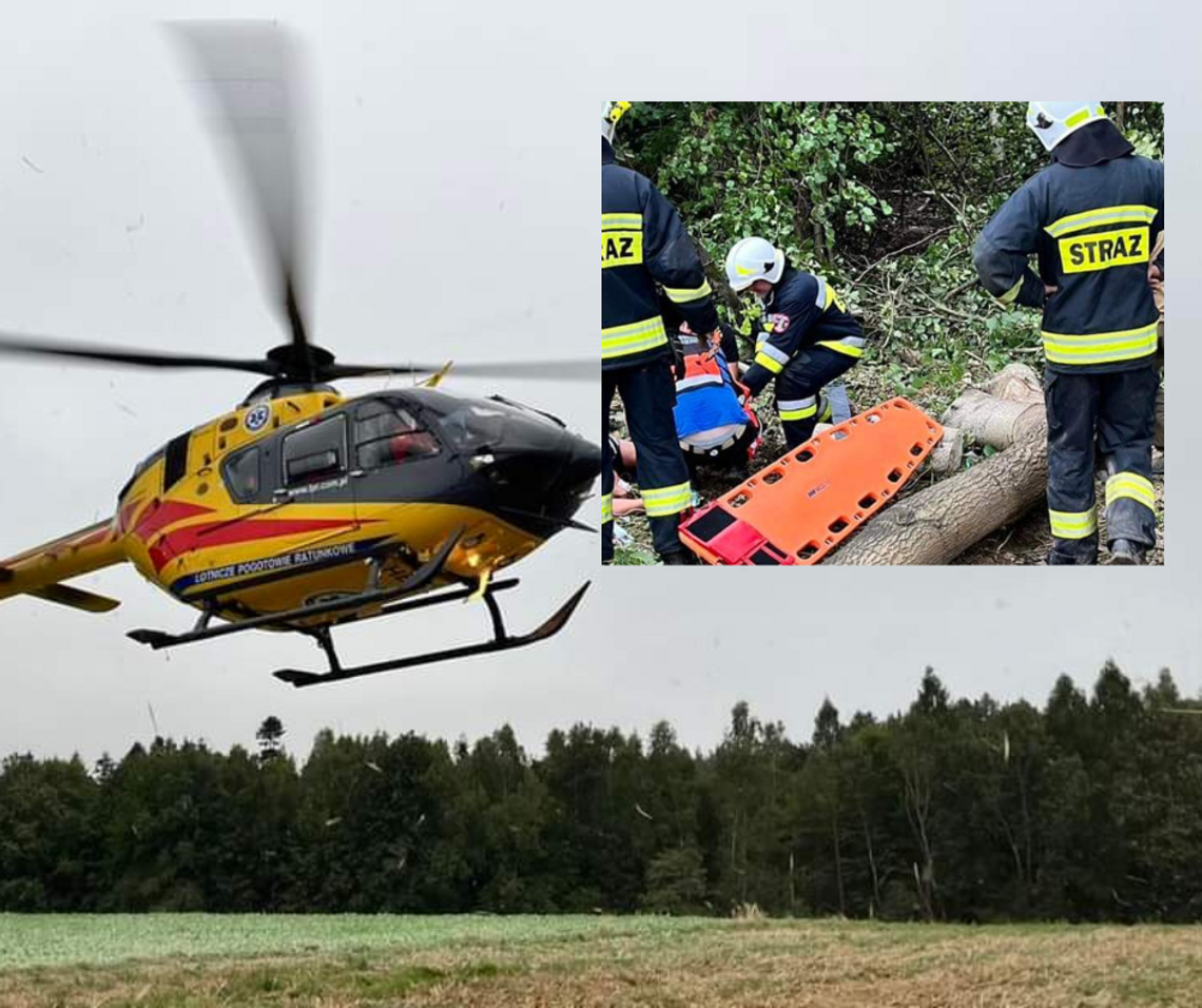 Poważny wypadek podczas prac leśnych w gminie Skała. LPR w akcji