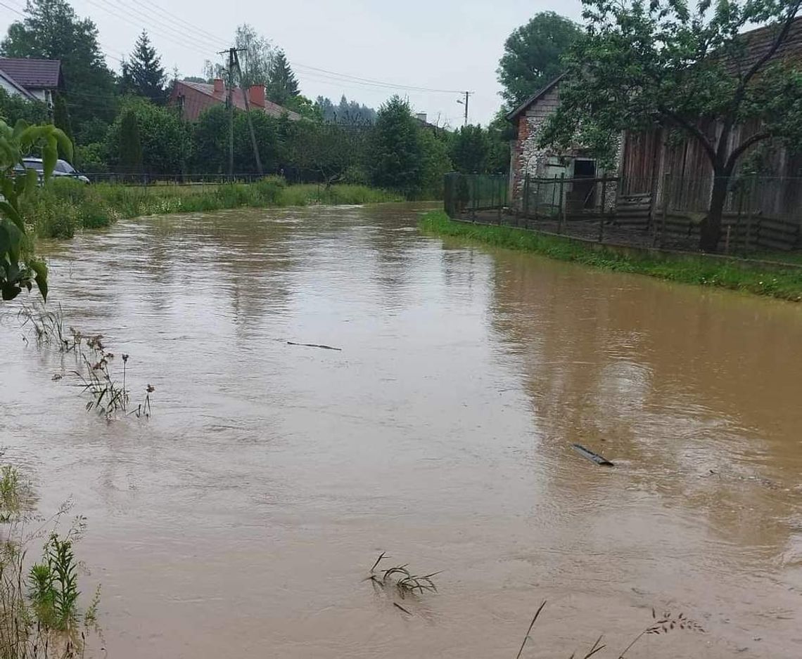 Na zdjęciu Biała Przemsza, która zamieniła się w rwącą rzekę