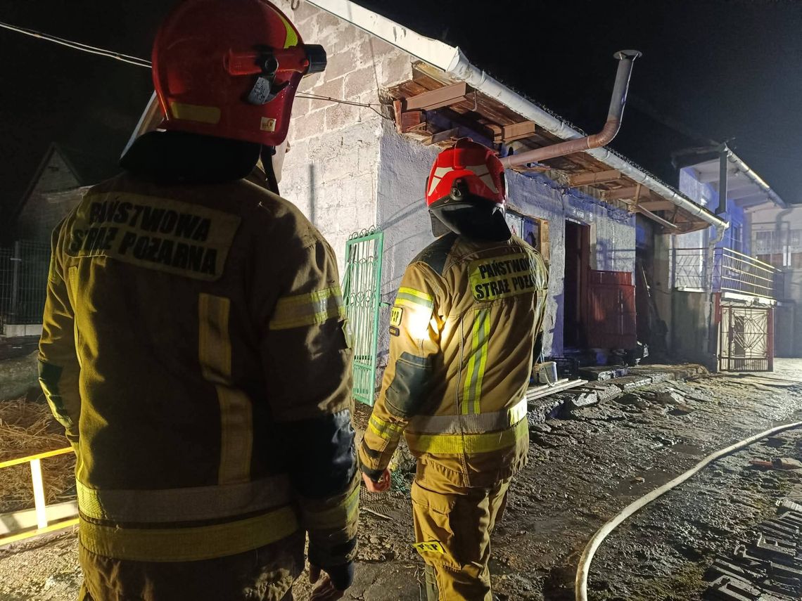 Pożar stodoły w Uszwi. Dynamiczna akcja strażaków z powiatu brzeskiego Uszew, powiat brzeski, Brzesko, JRG Brzesko, na sygnale, akcja ratunkowa, akcja gaśnicza, straż pożarna, strażacy