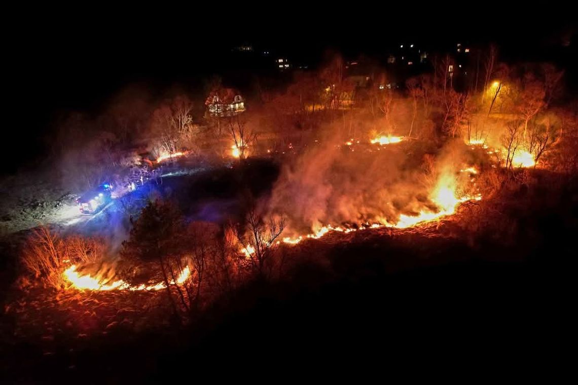 Pożar traw i zarośli blisko zabudowań w Bystrej Podhalańskiej [FOTO]