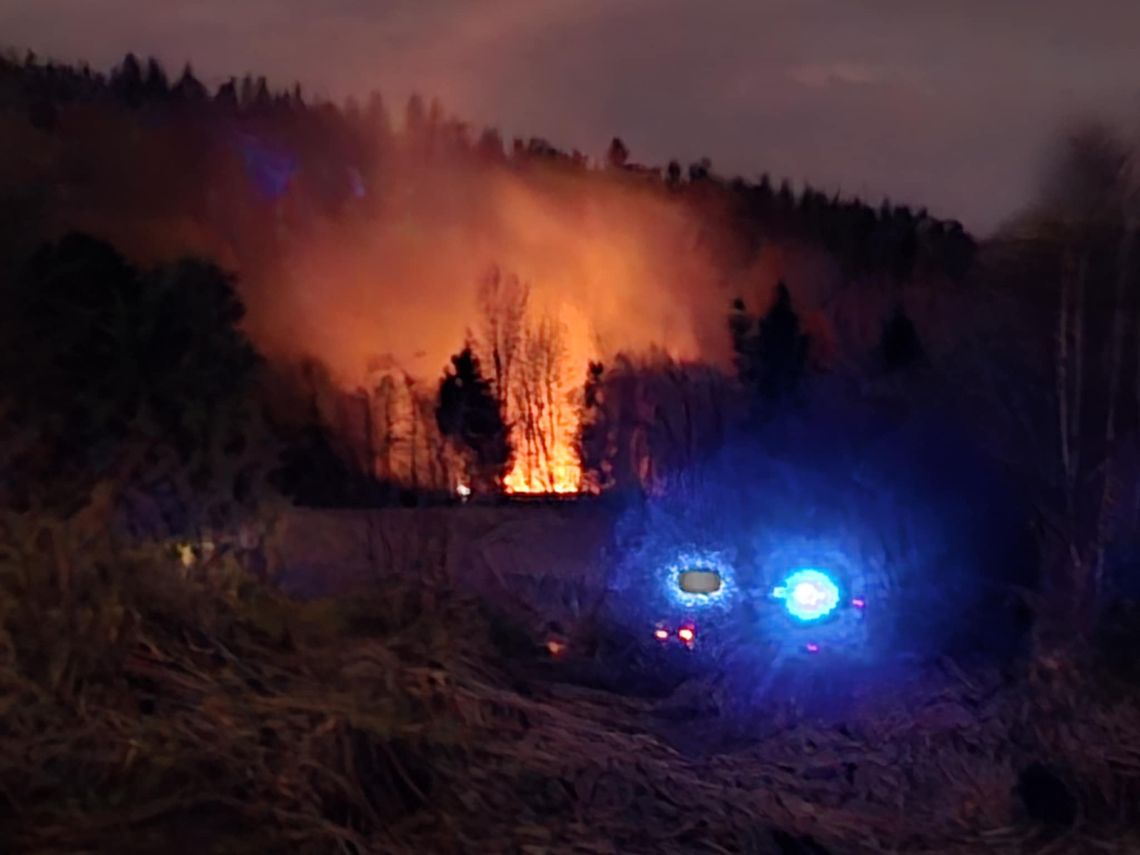 Pożar traw na zboczu Maciejowej w Rabce-Zdroju. Zagrożony las [FOTO]