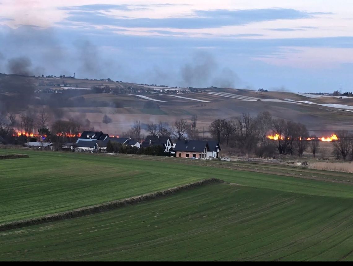 Węgrzynowice, Wzgórza Krzesławickie, wypalanie traw, Kraków, plaga pożarów traw w Polsce, akcja gaśnicza
