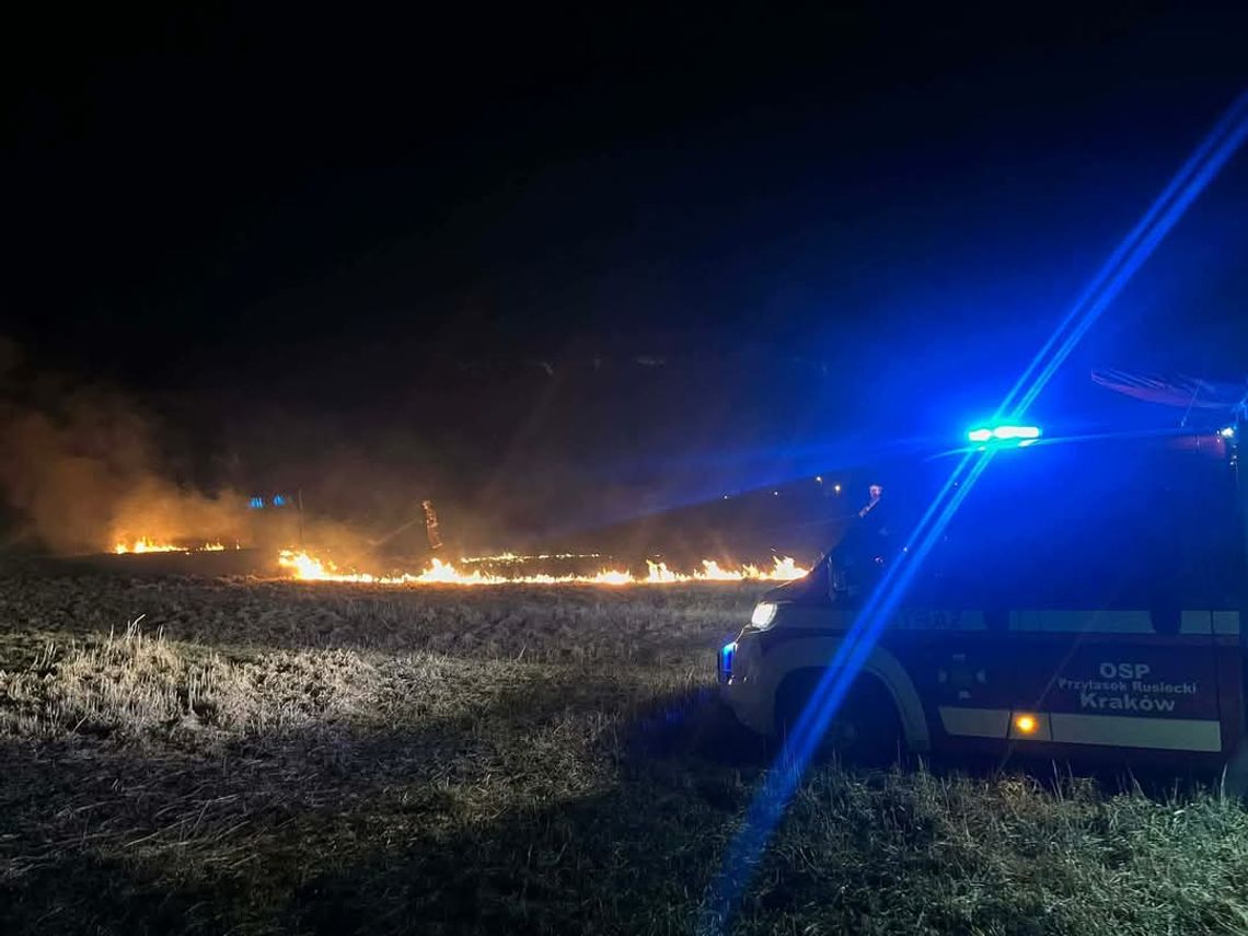 Przylasek Rusiecki, Kraków, Nowa Huta, wypalanie traw, pożar traw, zagrożenie podczas wypalania traw, straż pożarna, akcje straży pożarnej