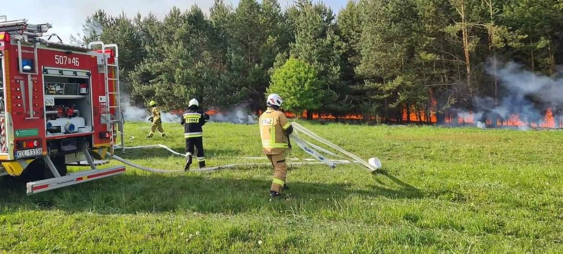 Na zdjęciu strażacy walczący z pożarem lasu na terenie powiatu olkuskiego